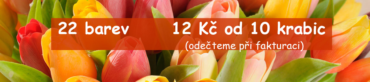 tulipany2024