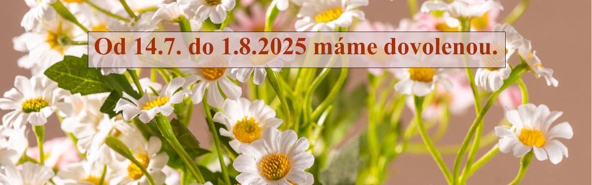 dovolena2025